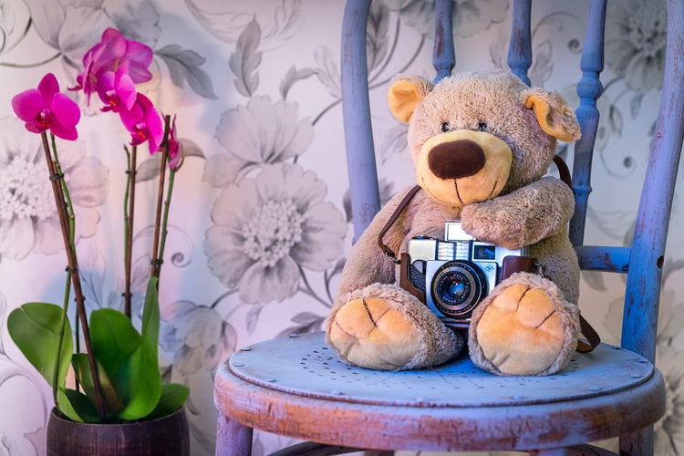 Fotobehang Camera teddy bear