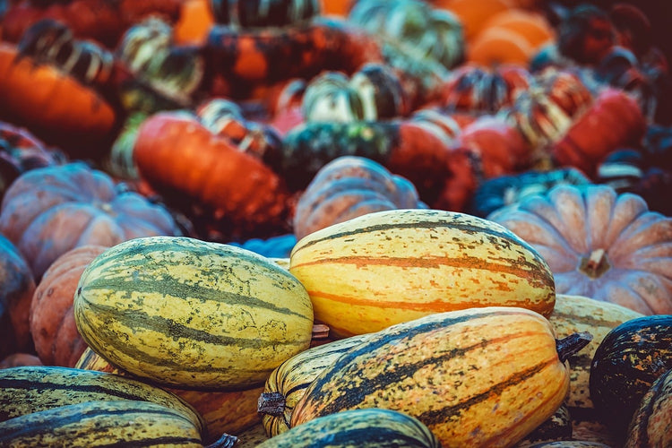 Fotobehang Pumpkin types