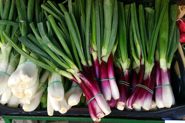 Fotobehang spring onions