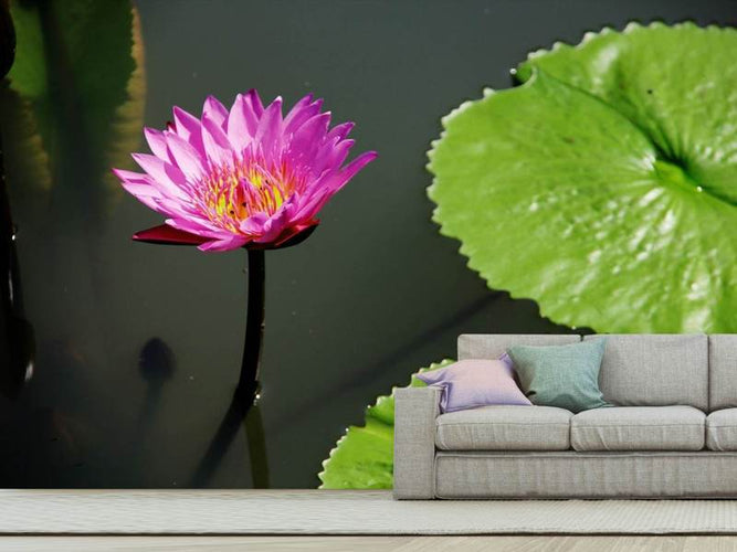 Fotobehang Lotus Bloem in roze