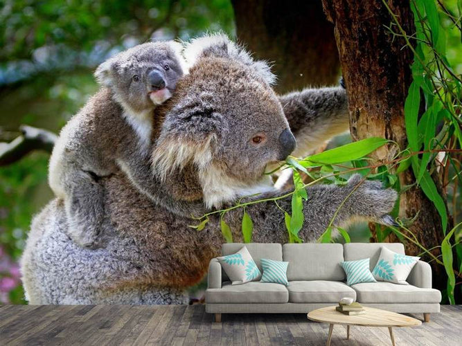 Fotobehang Mama en baby Koala