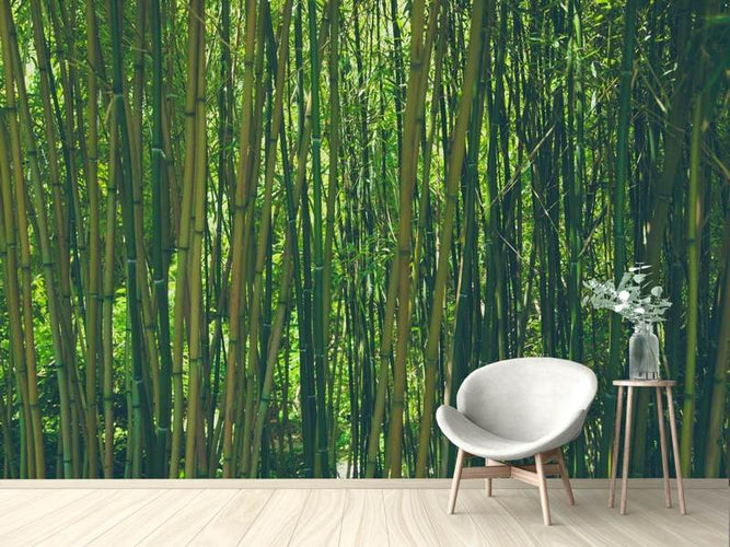 Fotobehang In het midden van de bamboe