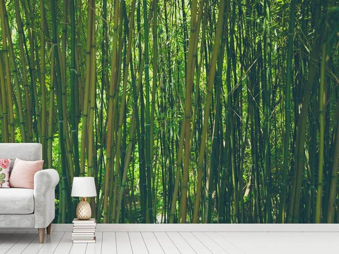 Fotobehang In het midden van de bamboe