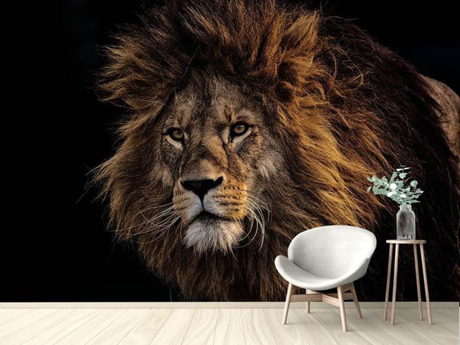 Fotobehang Portret van een Leeuw