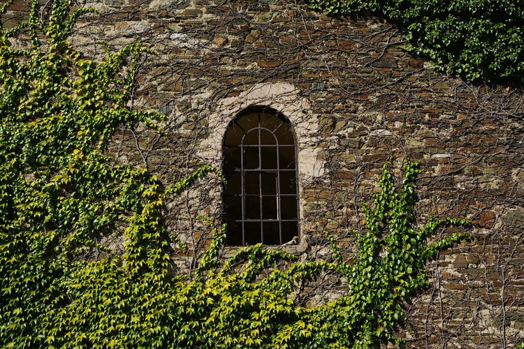 Fotobehang Castle tower