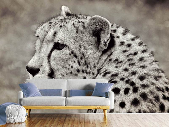 Fotobehang Mooie cheetah