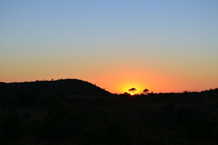 Fotobehang Sunset in Africa