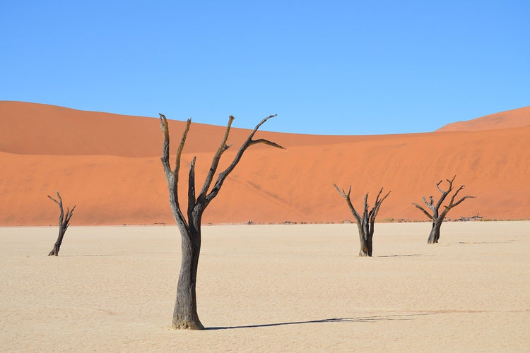 Fotobehang Sossusvlei Namibia