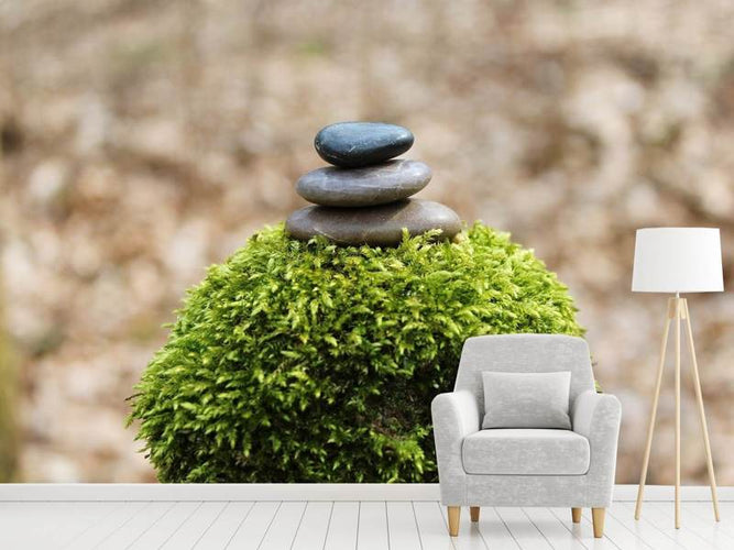 Fotobehang Zen stenen op een Plant