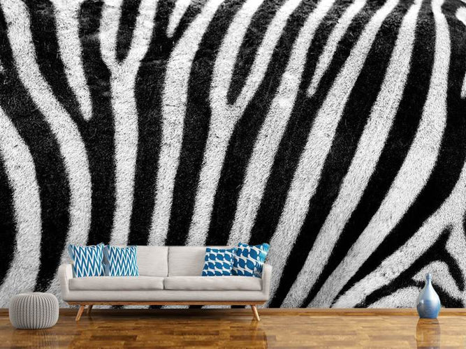Fotobehang Zebra strepen