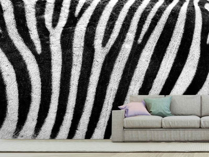 Fotobehang Zebra strepen