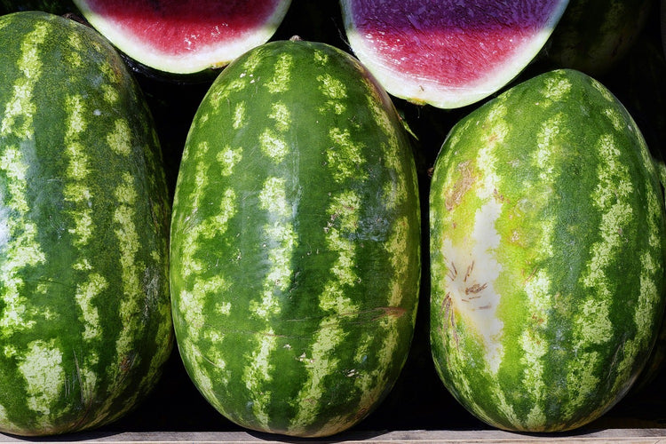 Fotobehang watermelons