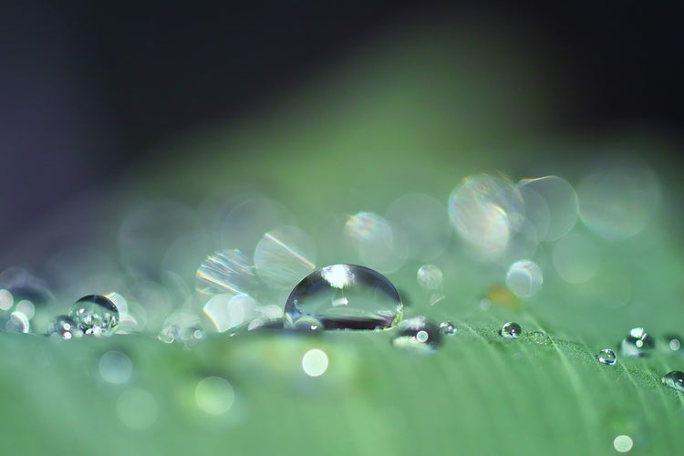 Fotobehang Drops of water in XXL