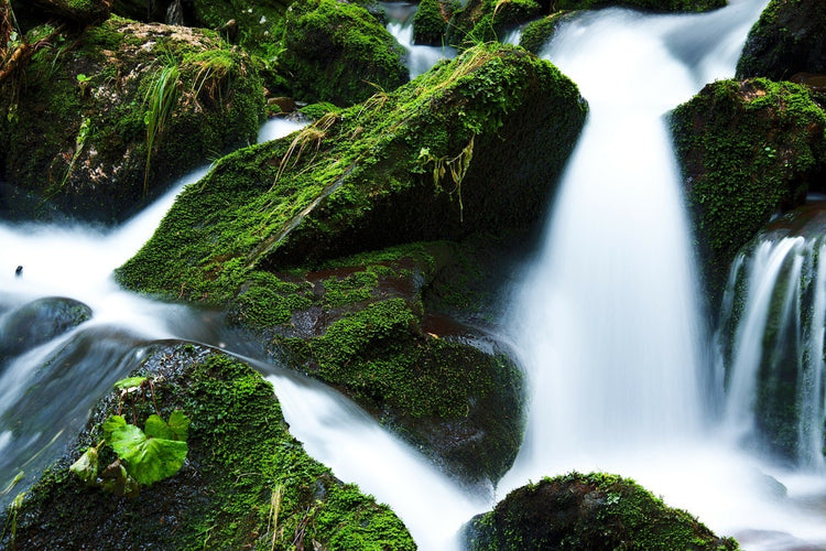 Fotobehang Wild waterfall