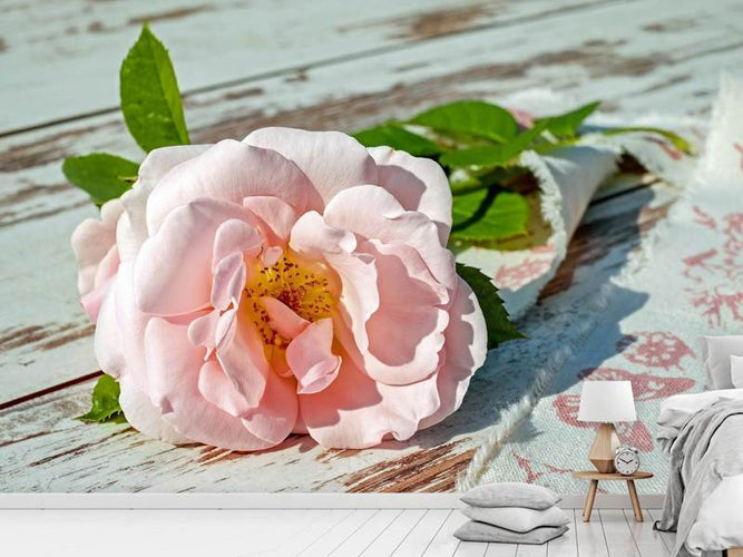 Fotobehang Wilde roos in roze