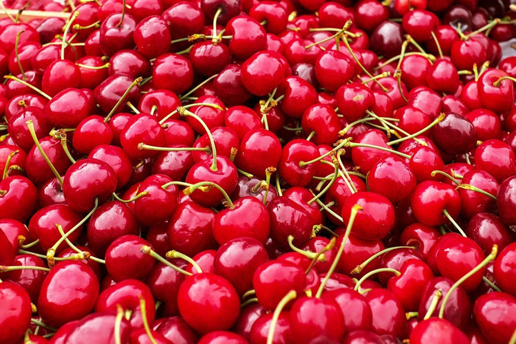 Fotobehang XL cherries