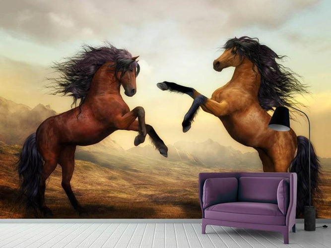 Fotobehang Twee Wilde Paarden